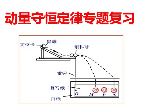 动量守恒定律专题复习