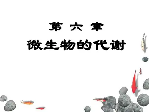 微生物代谢