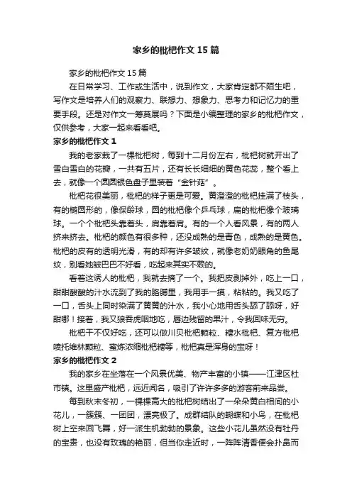 家乡的枇杷作文15篇