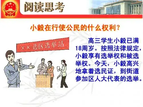 2013依法参与政治生活