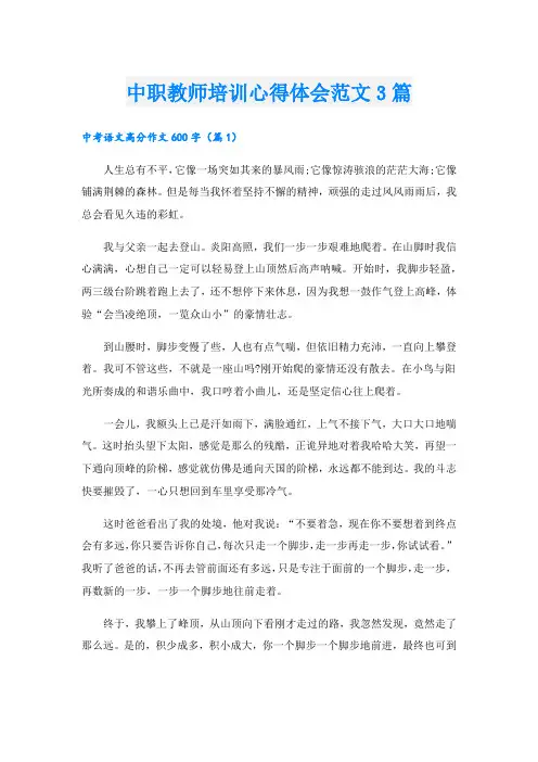 中职教师培训心得体会范文3篇