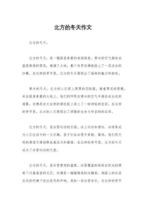 北方的冬天作文