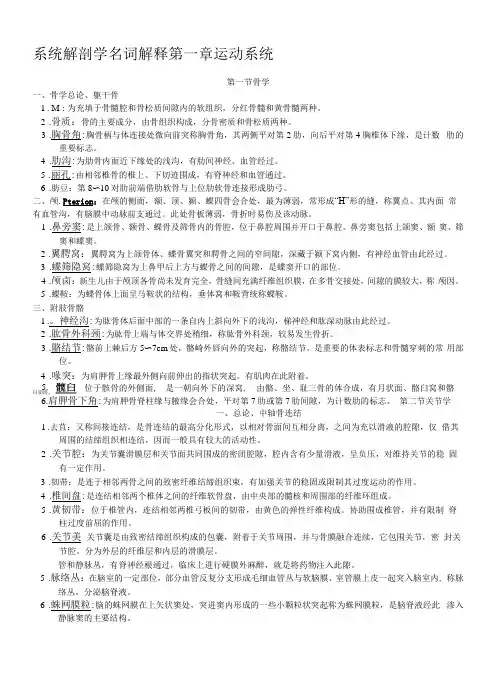 解剖学名词解释分章节