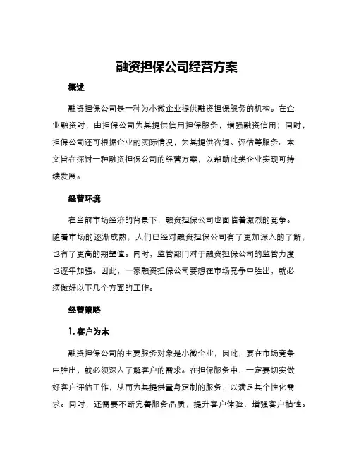 融资担保公司经营方案
