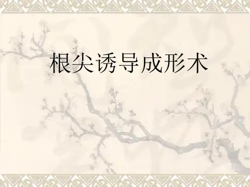 根尖诱导成形术汇总最新PPT课件