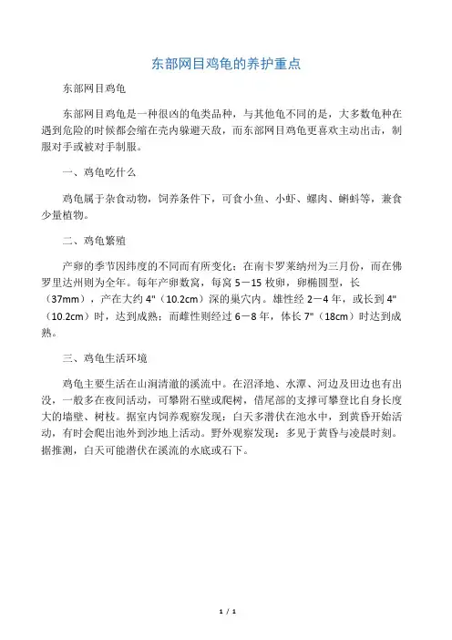 东部网目鸡龟的养护重点