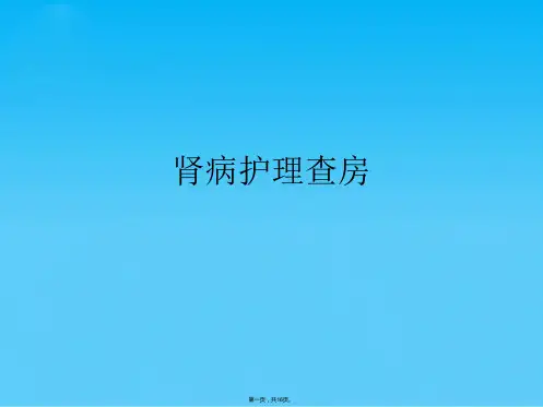 肾病护理查房(共16张PPT)