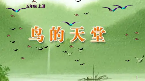 《鸟的天堂》说课稿ppt课件