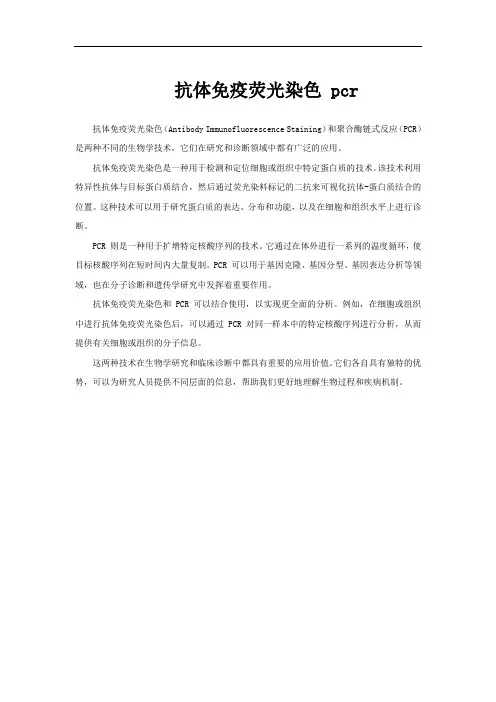 抗体免疫荧光染色 pcr