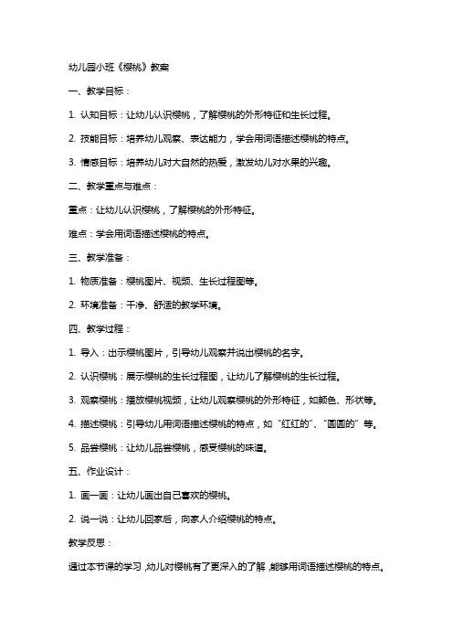 幼儿园小班《樱桃》教案