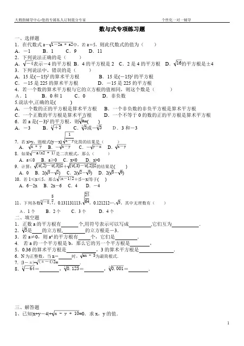 (完整版)数与式专项练习题(最新整理)