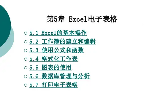 Excel电子表格