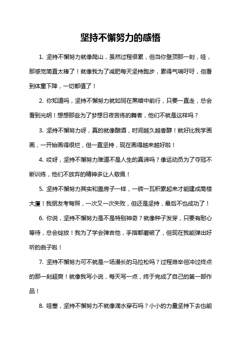 坚持不懈努力的感悟