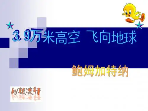 鲍姆加特纳跳伞
