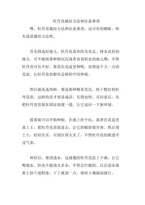 牡丹花栽培方法和注意事项