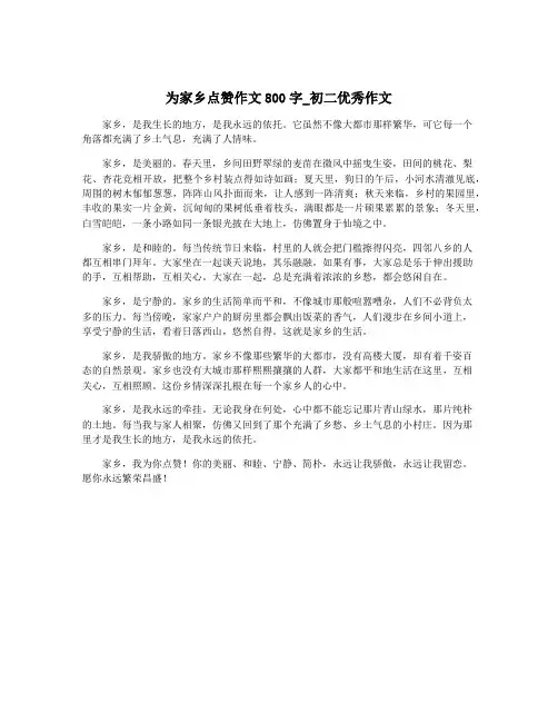 为家乡点赞作文800字_初二优秀作文