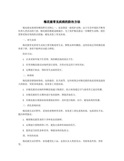 梅花鹿常见疾病的防治方法