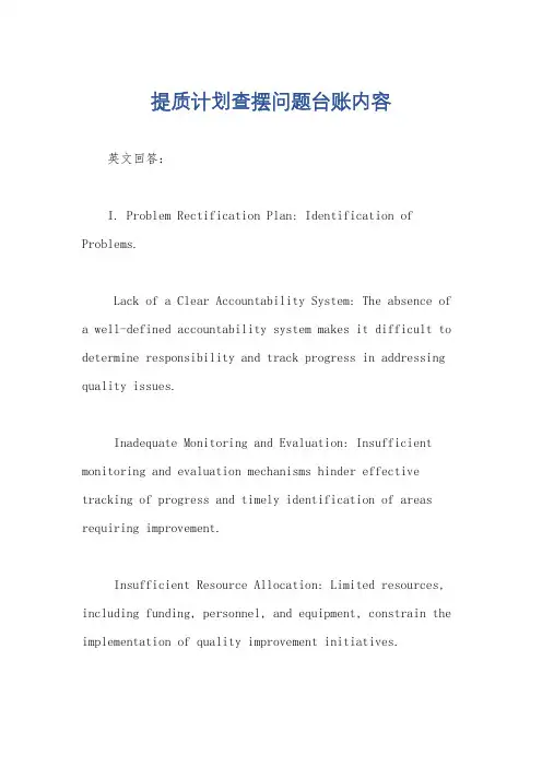 提质计划查摆问题台账内容
