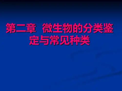 第二章 微生物的分类鉴定