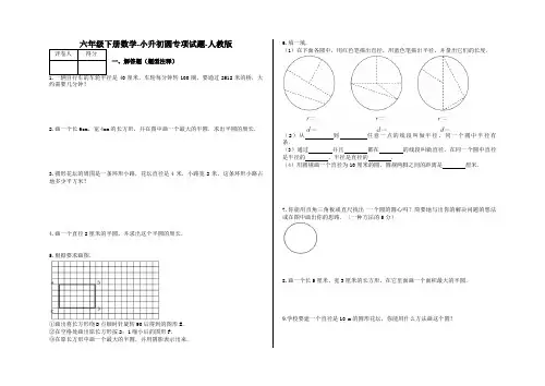 六年级下册数学-小升初圆专项试题-s11-人教版