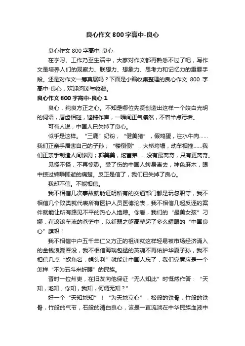 良心作文800字高中-良心
