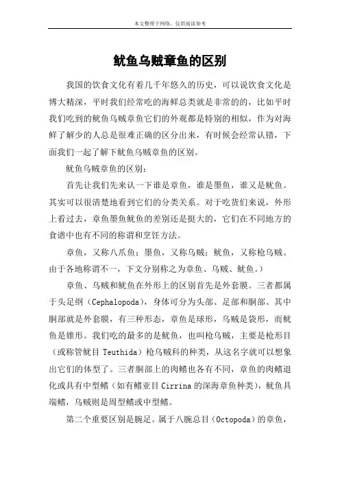 鱿鱼乌贼章鱼的区别