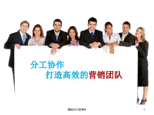 分工协作打造高效的营销团队