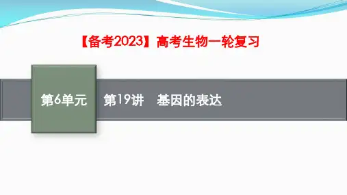 【备考2023】高考生物一轮复习：第19讲 基因的表达(共73张PPT)
