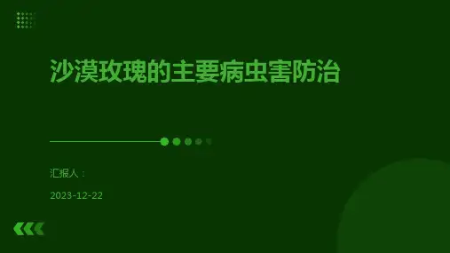 沙漠玫瑰的主要病虫害防治