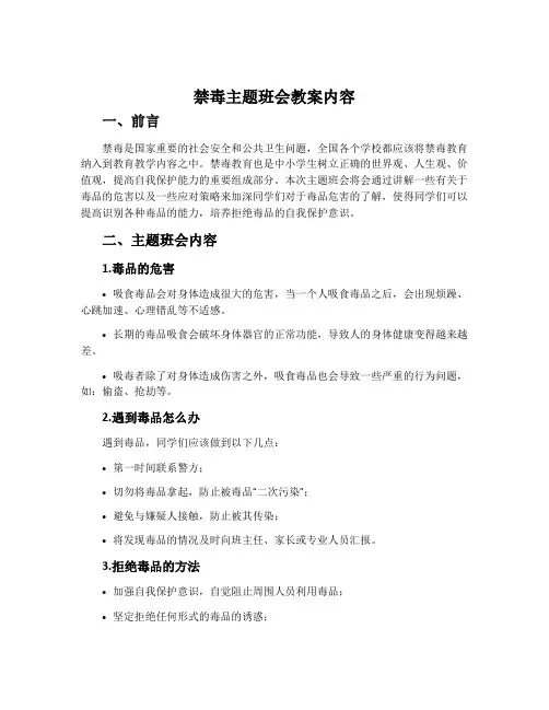 《禁毒》主题班会教案内容