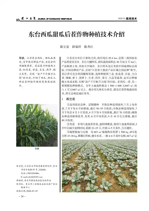 东台西瓜甜瓜后茬作物种植技术介绍
