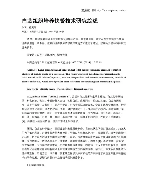 白芨组织培养快繁技术研究综述