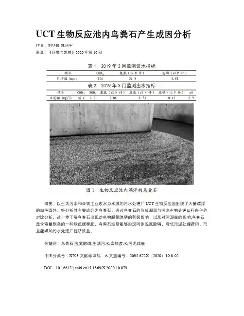 UCT生物反应池内鸟粪石产生成因分析