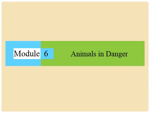 高中英语 Module 6 Animals in Danger课件 外研版必修
