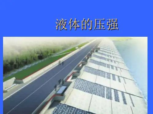 人教版八年级物理下册《9.2液体的压强》含flash (共30张PPT)