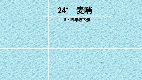 最新版四年级下语文课件24 麦哨