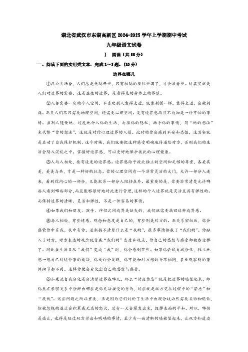 湖北省武汉市东湖高新区2024-2025学年九年级上学期期中考试语文试题(含答案)