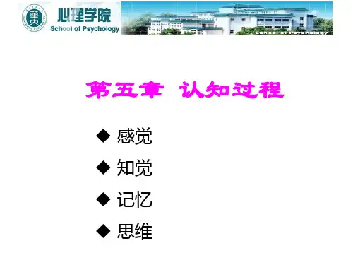 第五章.认知过程1ppt