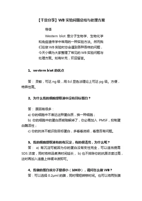 【干货分享】WB实验问题总结与处理方案
