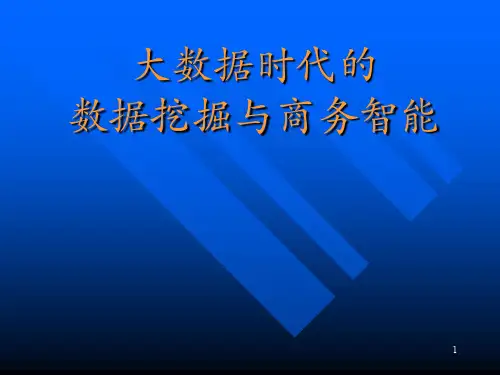大数据时代的数据挖掘与商务智能(三)