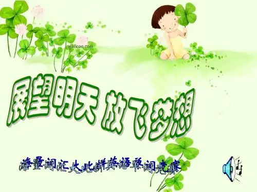 放飞梦想——海量词汇大比拼英语单词竞赛