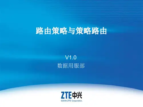 路由策略与策略路由要点