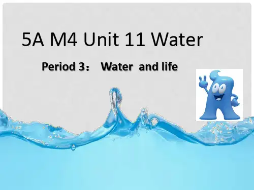 五年级英语上册 Unit 11 Water(第1课时)课件 牛津上海