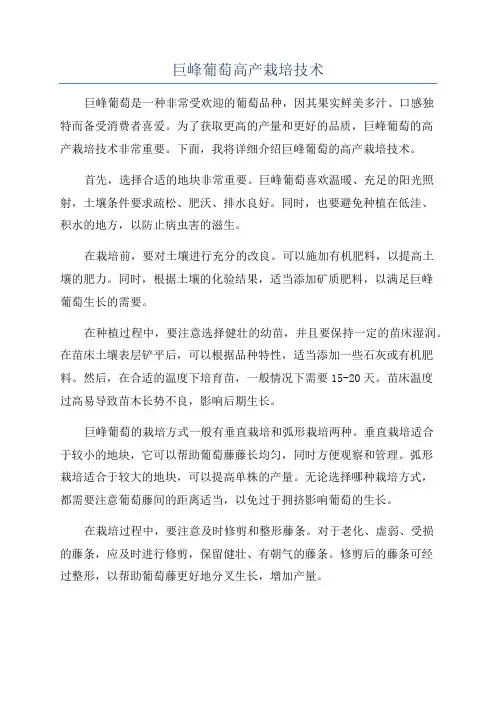 巨峰葡萄高产栽培技术