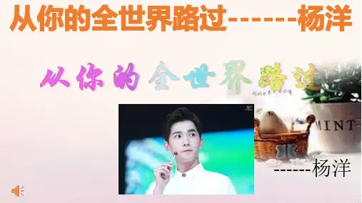 杨洋