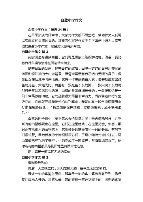 白鹭小学作文（精选24篇）