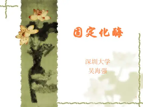 固定化酶ppt课件