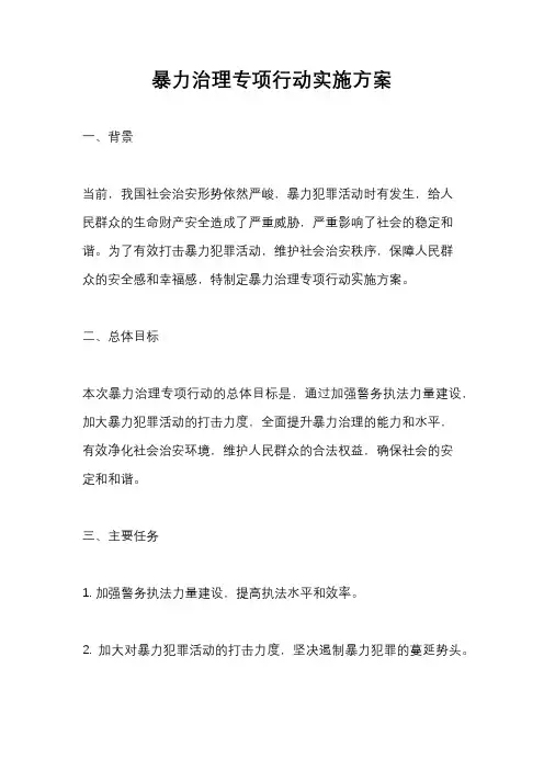 暴力治理专项行动实施方案
