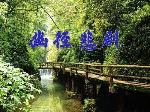 《幽径悲剧》PPT课件3 (共14张PPT)