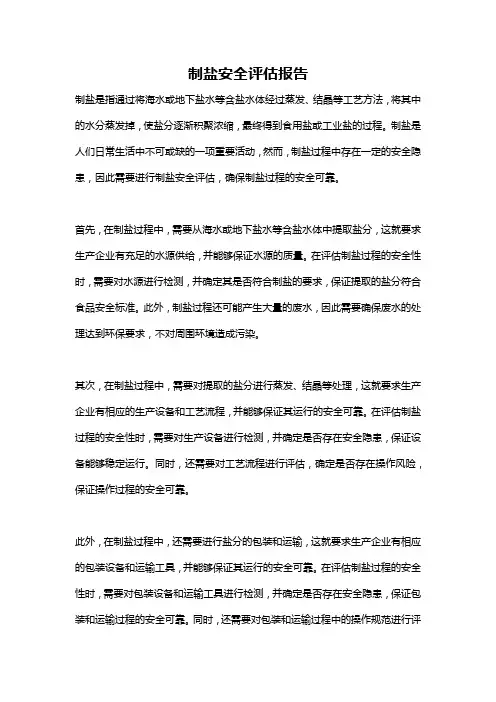制盐安全评估报告